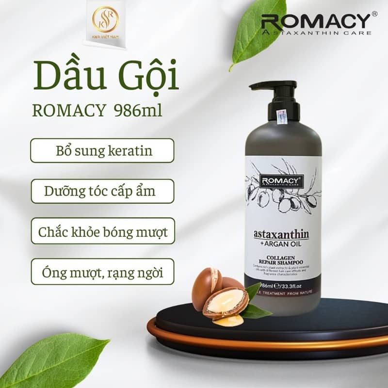 cặp gội xả - 1